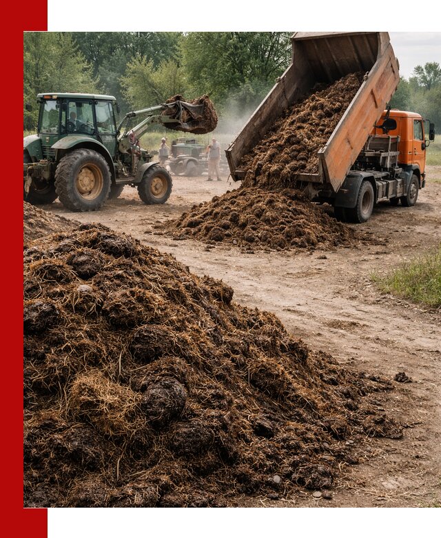 Доставка навоза самосвалами в Малгобеке для сельхозпотребностей
