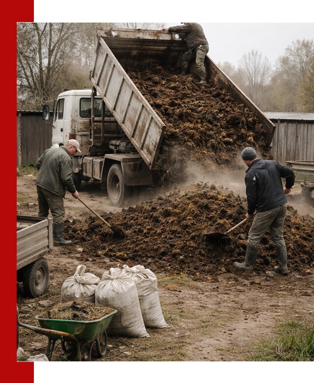 Доставка коровьего навоза самосвалом в Малгобеке